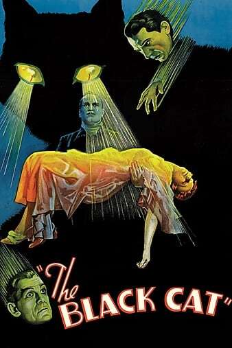 黑猫 1934