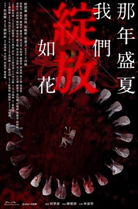 那年盛夏 我们绽放如花