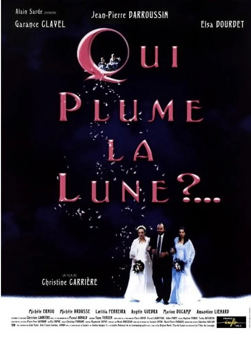 谁摘下了月亮的羽毛