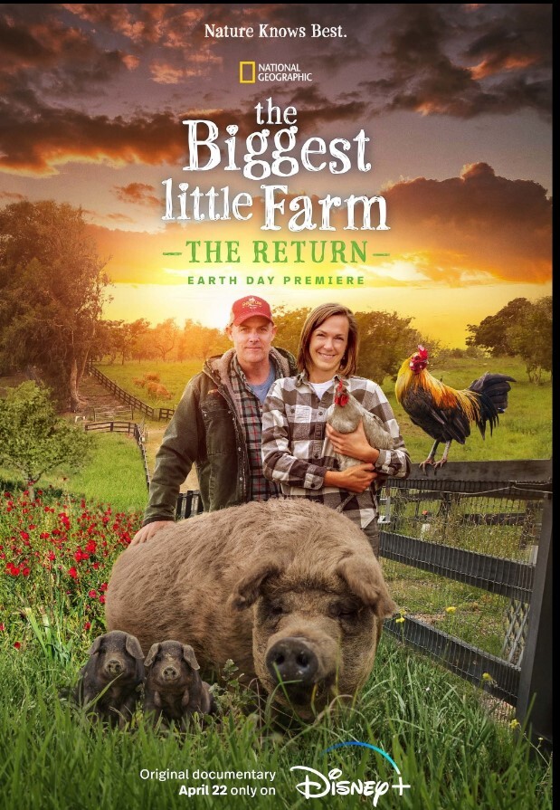 最大的小小农场：回归