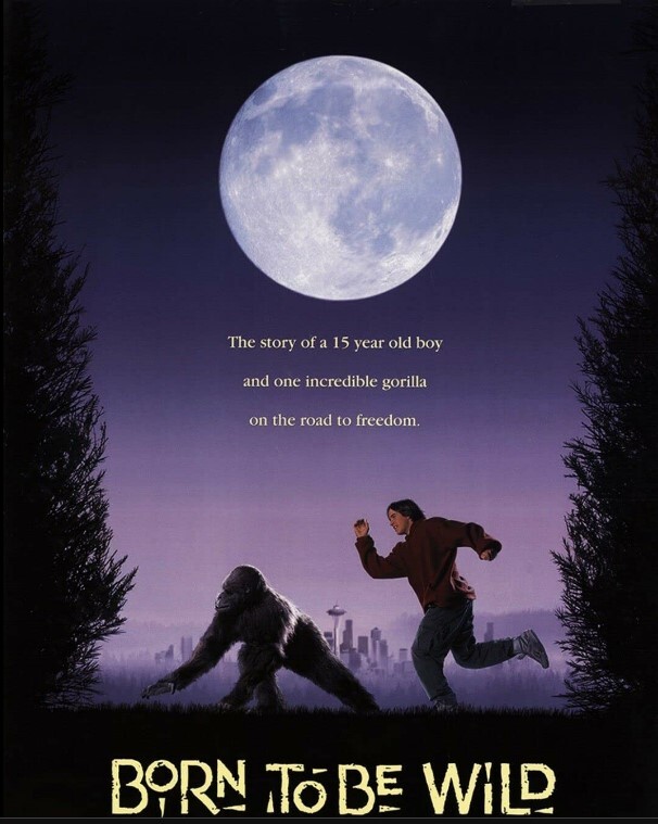 威猩闯天涯 1995