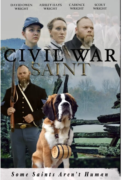 内战圣伯纳犬 2022