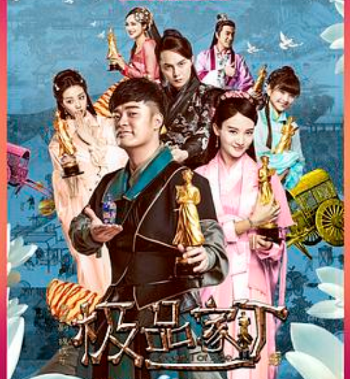 极品家丁（2016）