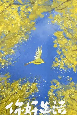 你好生活 第四季 （加更版）