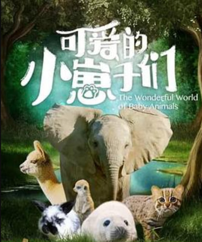 可爱的小崽子们