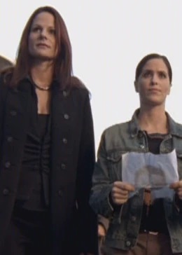 狂野天使之罪恶冰美人