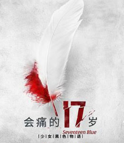 会痛的17岁