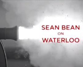 西恩·宾回顾滑铁卢战役