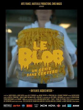 黏菌：无脑天才