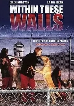 高墙内（普通话）