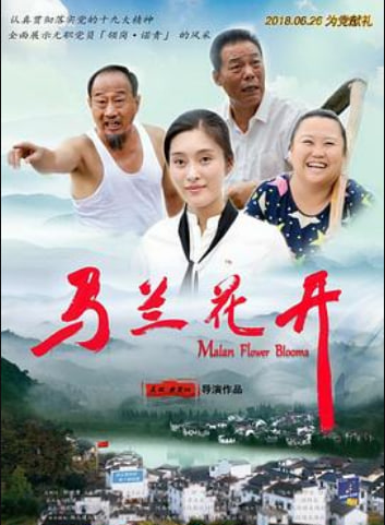 马兰花开