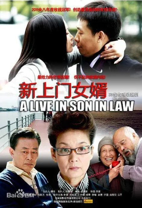 新上门女婿  2010