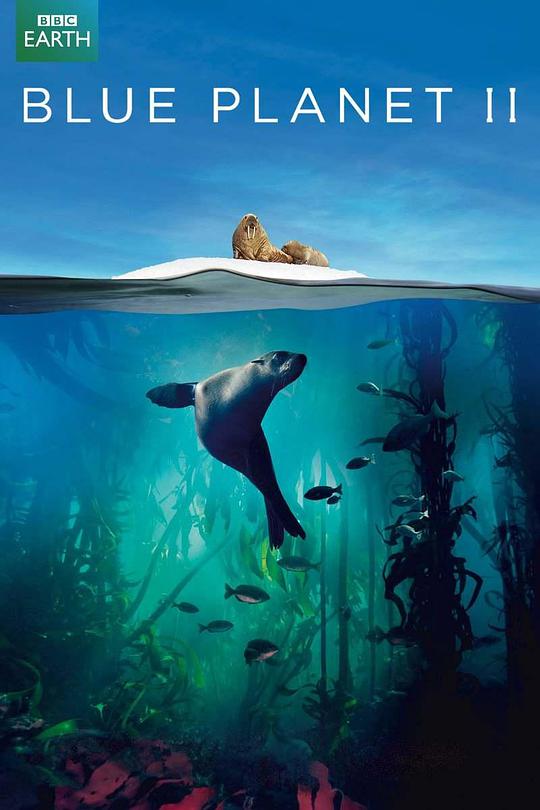 蓝色星球2